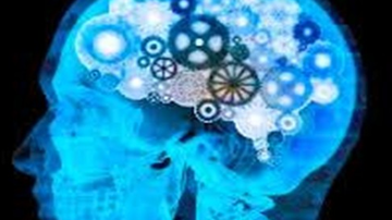 Предавање проф. др Тијане Ашић: Неуролингвистика: савремени приступ  у теорији и пракси